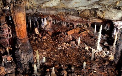 Cueva de La Garma