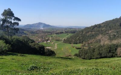 Bosques de Omoño