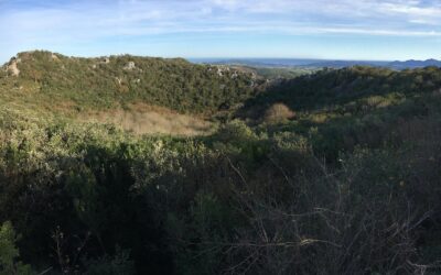 Monte Yusa