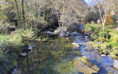 Río Miera y sus afluentes